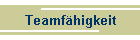 Teamfhigkeit